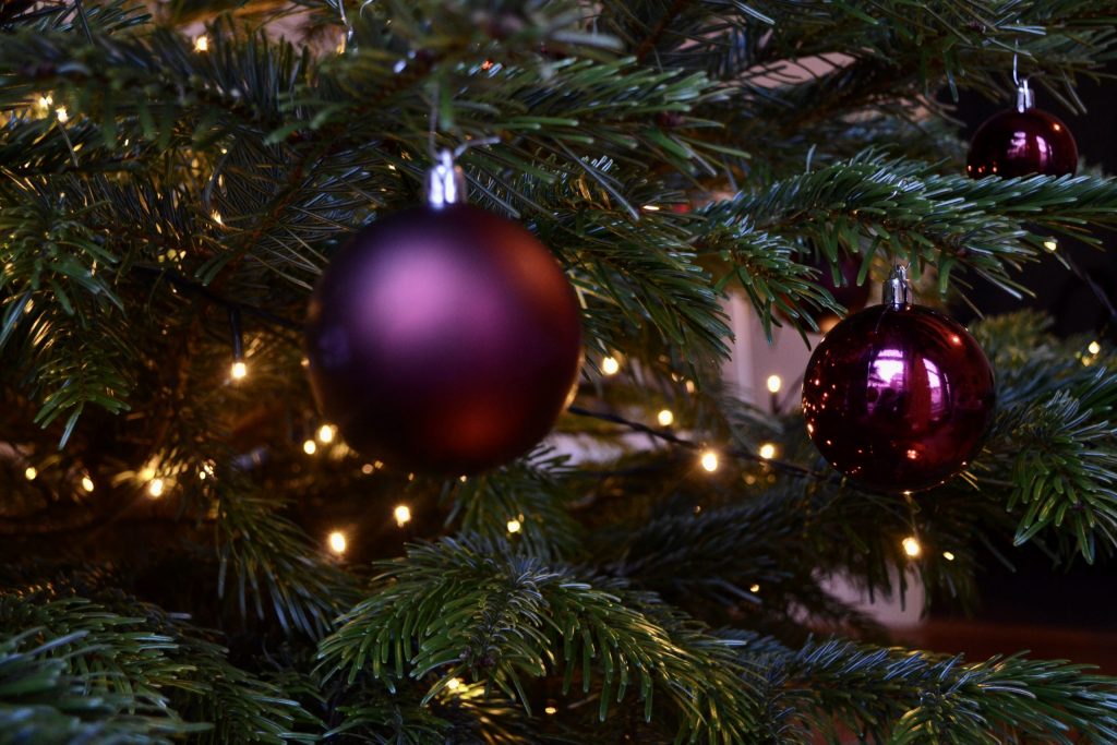 Bezorgbomen Project snugger